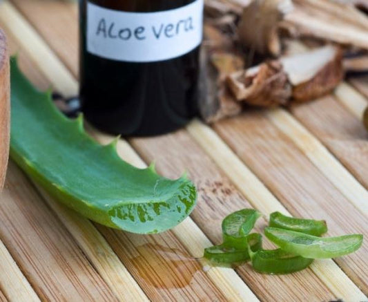 TRUCOS DE BELLEZA CON ALOE VERA
