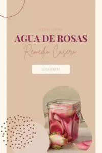 AGUA DE ROSAS CASERA
